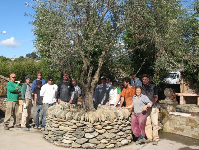 Newly built dry stone olive tree planter. Newly built dry stone olive tree planter.